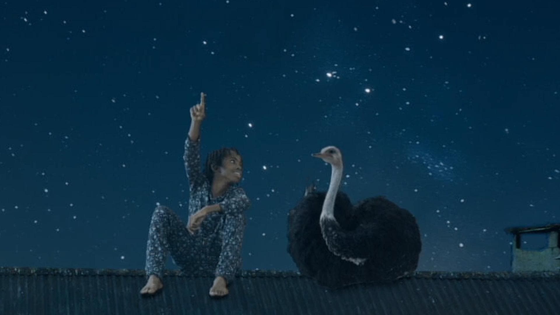 Bird Boy