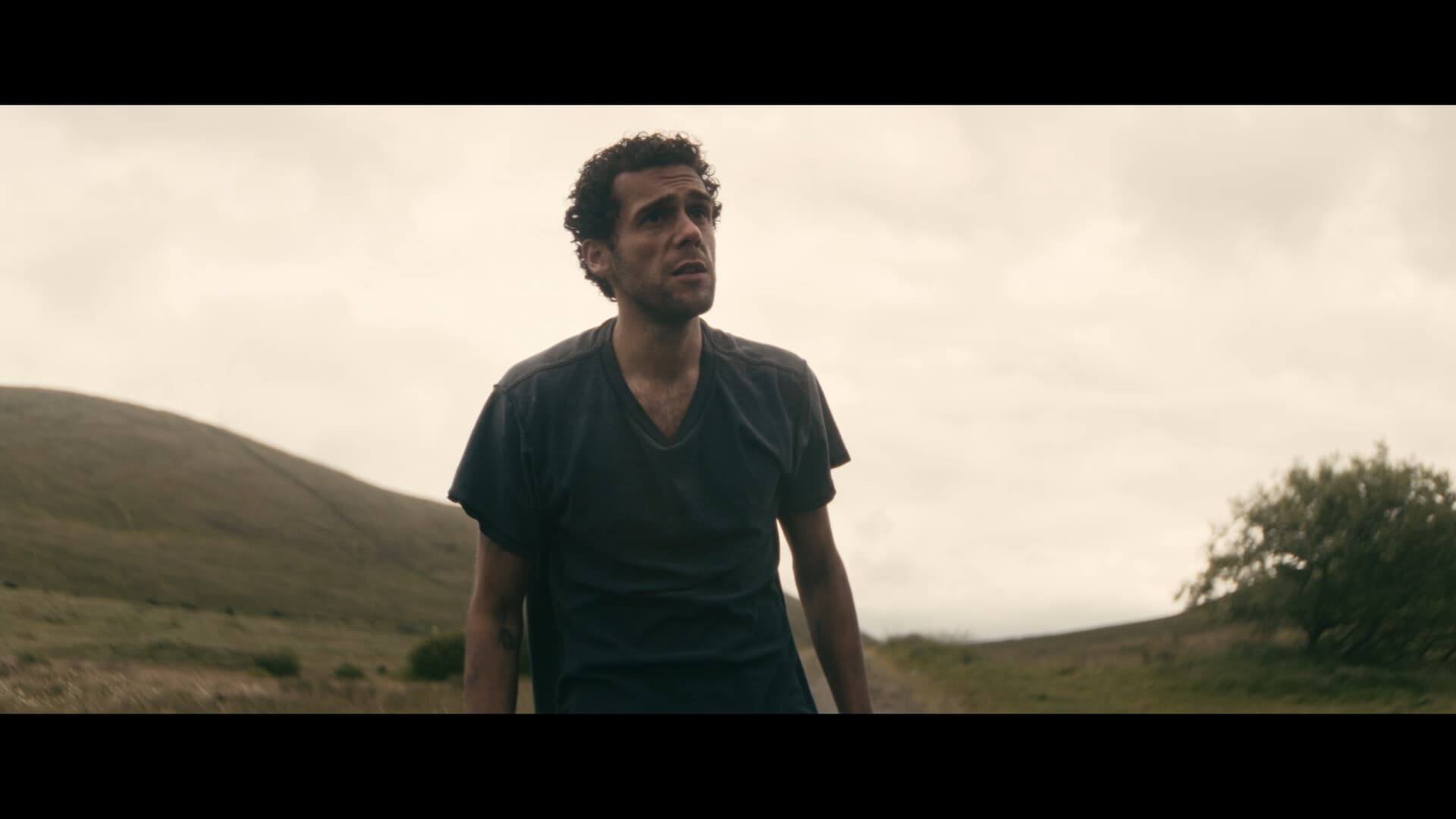 Irish Son poster