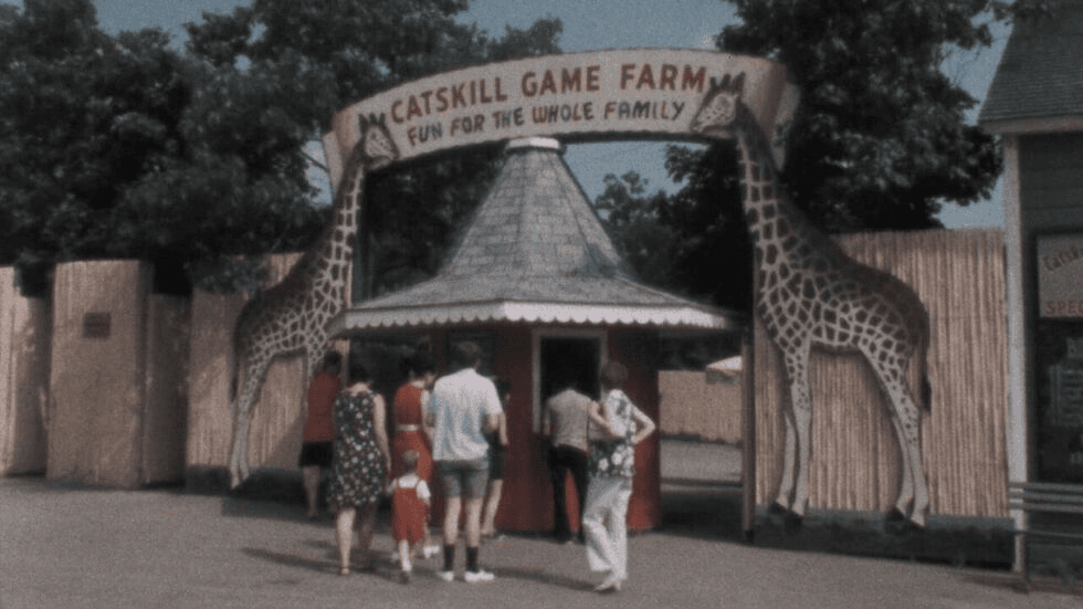 American Zoo