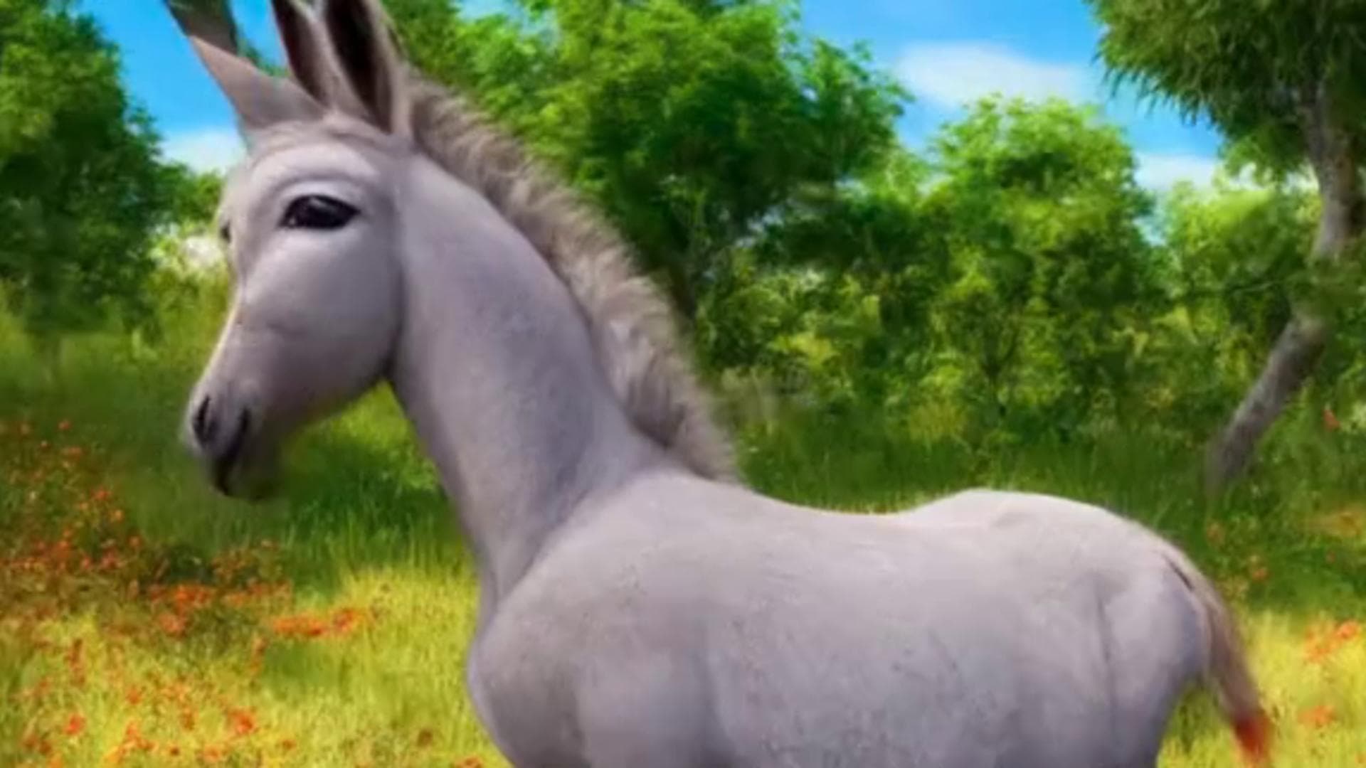 Flowers for Donkey poster