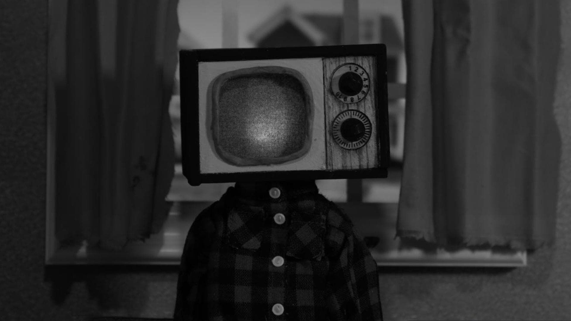 Television Head poster
