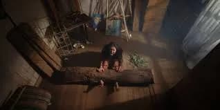 Pasung "The Wooden Stocks"