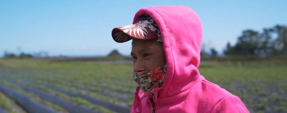 Campesinos: America's Unsung Heroes