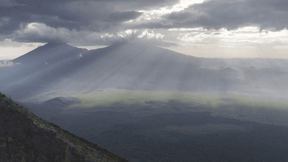 Virunga