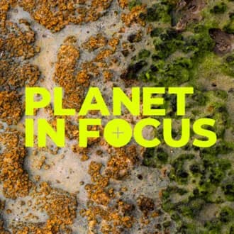 Planet In Focus