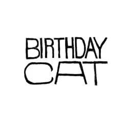 Birthday Cat Presents