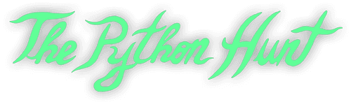 The Python Hunt