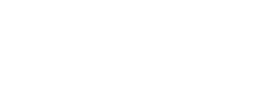 Fantasy Life