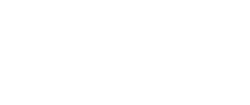 Idiotka